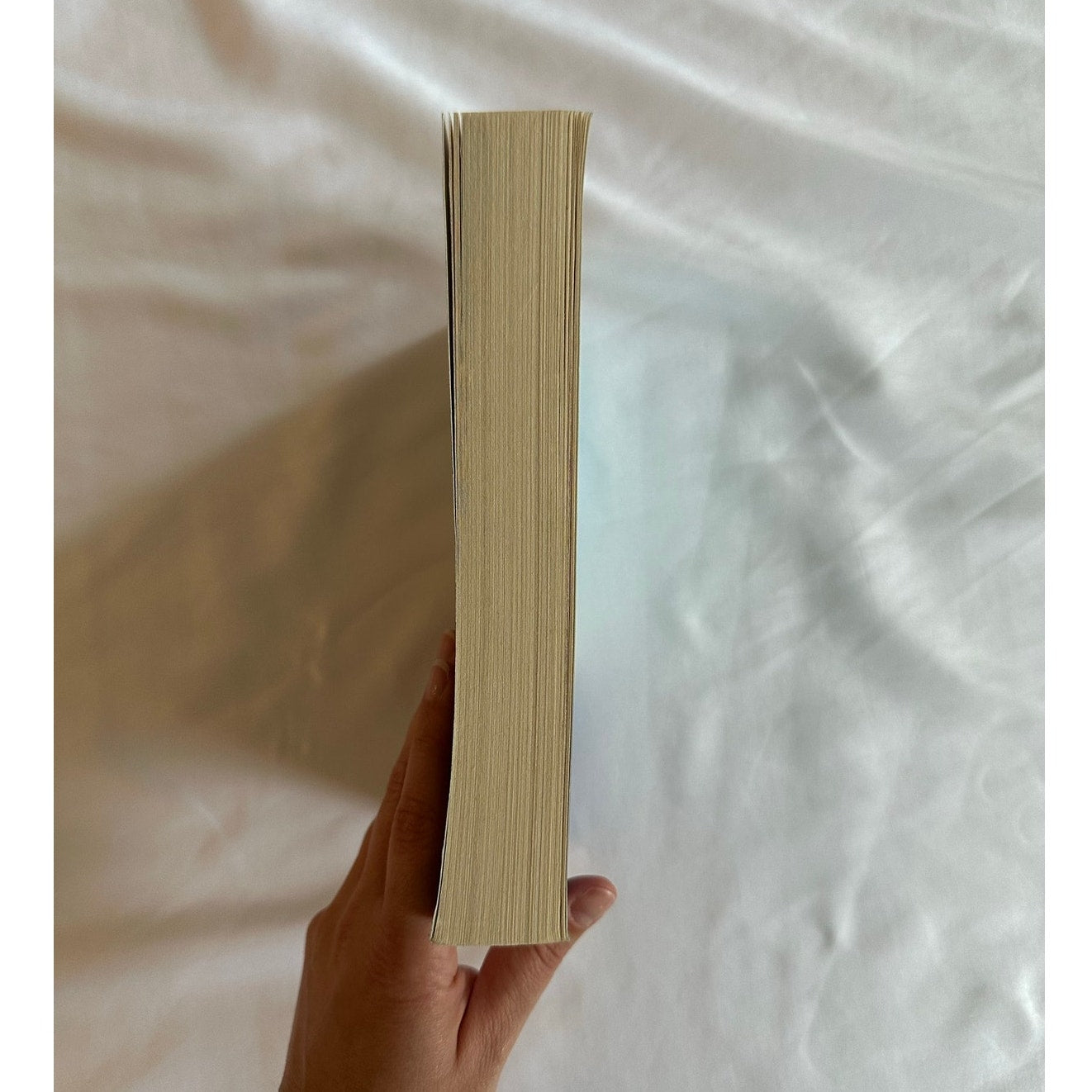 The Risk by Elle Kennedy | OOP Original Model Cover Paperback