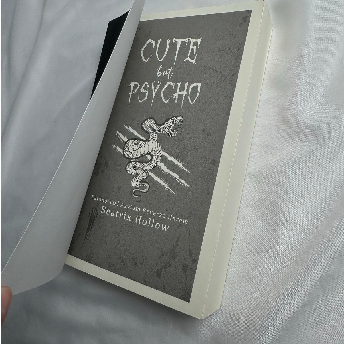 Cute But Psycho by Beatrix Hollow | Indie Paperback | Verfallen Asylum