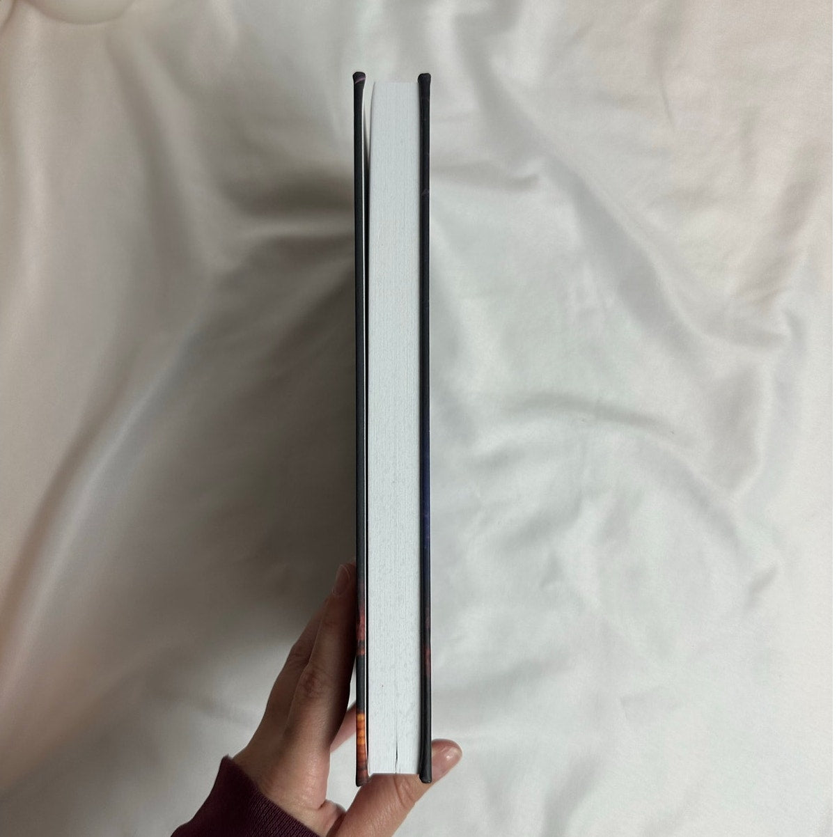 Wild Lands by Stacey Marie Brown | Indie Hardcover