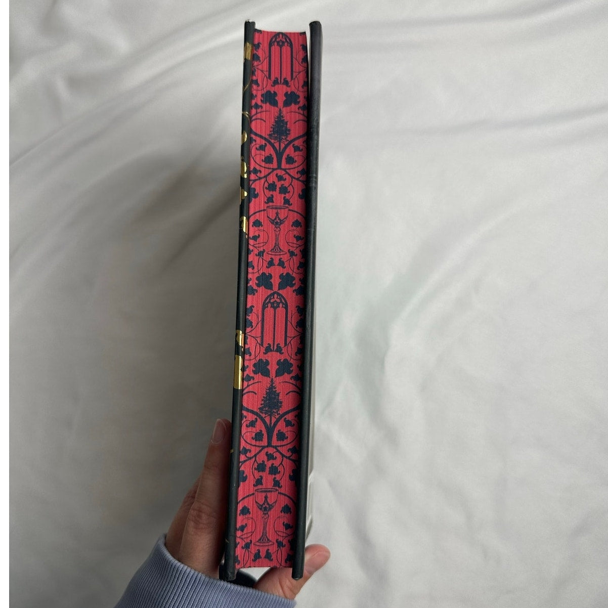 One Dark Window by Rachel Gillig | OOP B&N Exclusive Special Edition Hardcover