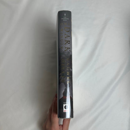One Dark Window by Rachel Gillig | OOP B&N Exclusive Special Edition Hardcover