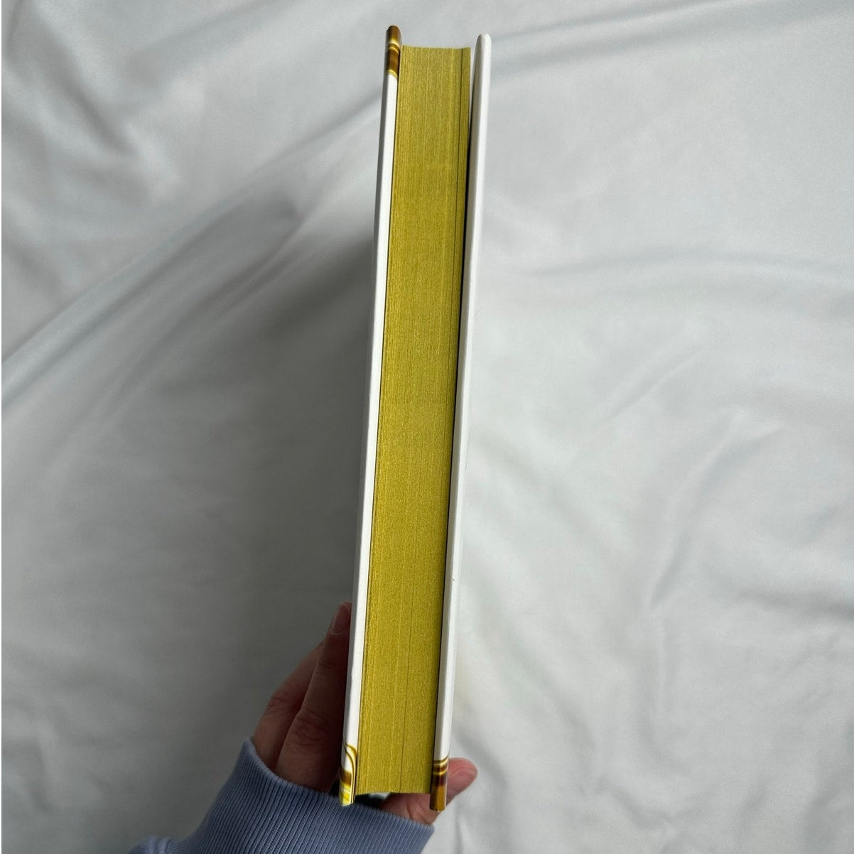 Gild by Raven Kennedy | Deluxe Edition Sprayed Edges Hardcover