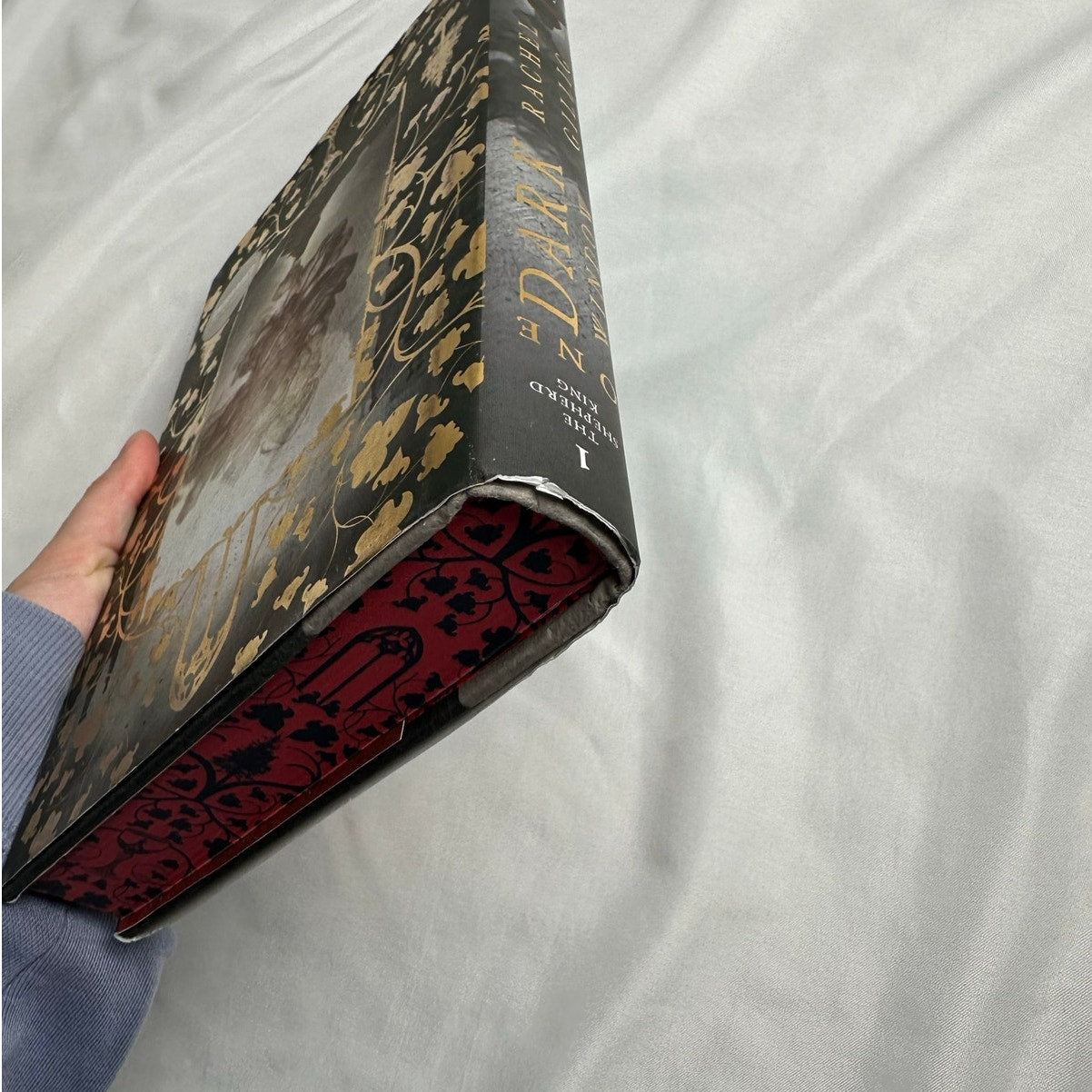 One Dark Window by Rachel Gillig | OOP B&N Exclusive Special Edition Hardcover