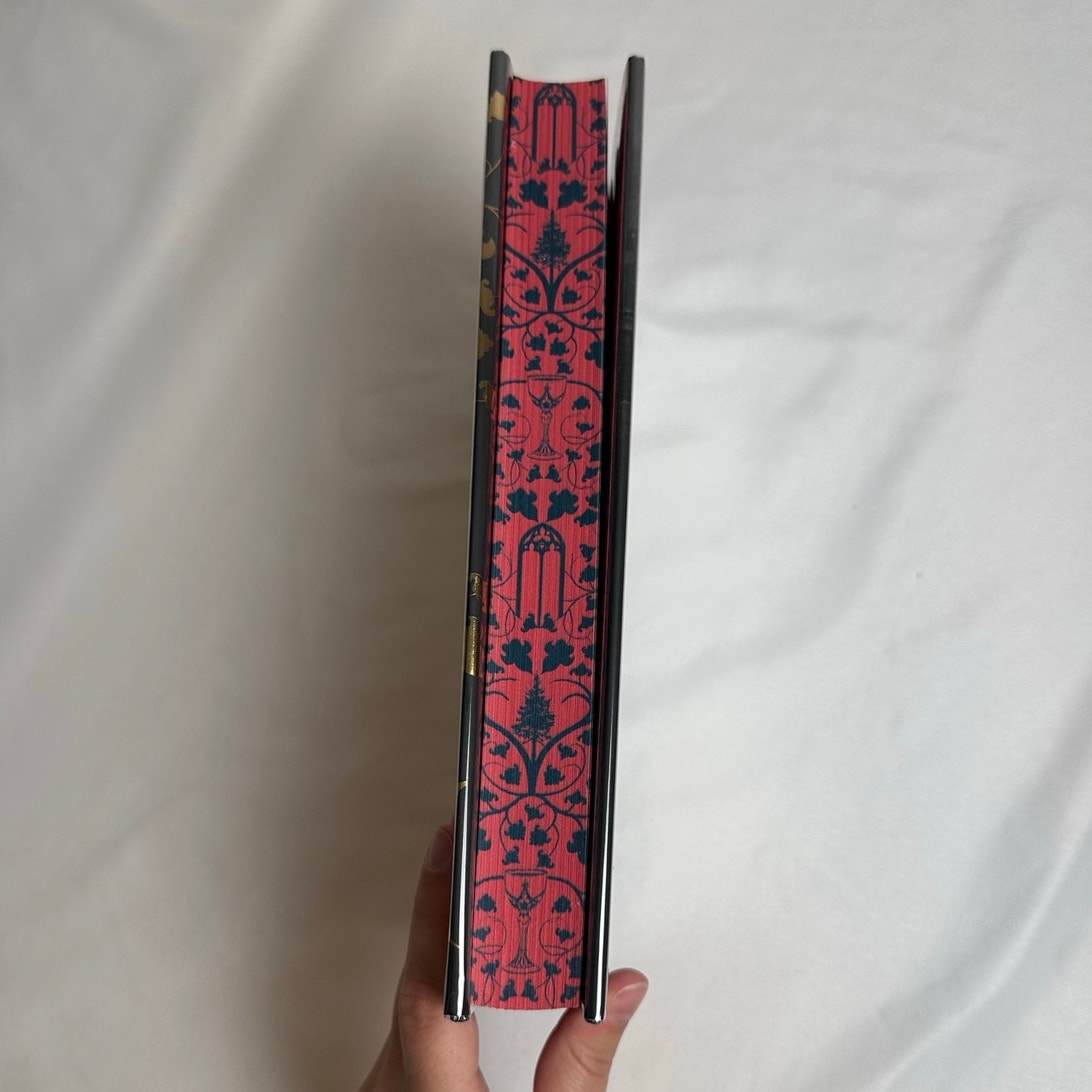 One Dark Window by Rachel Gillig | OOP B&N Exclusive Special Edition Hardcover