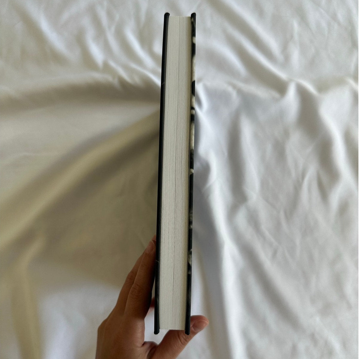 Dead Lands by Stacey Marie Brown | Indie Hardcover | Savage Lands #3