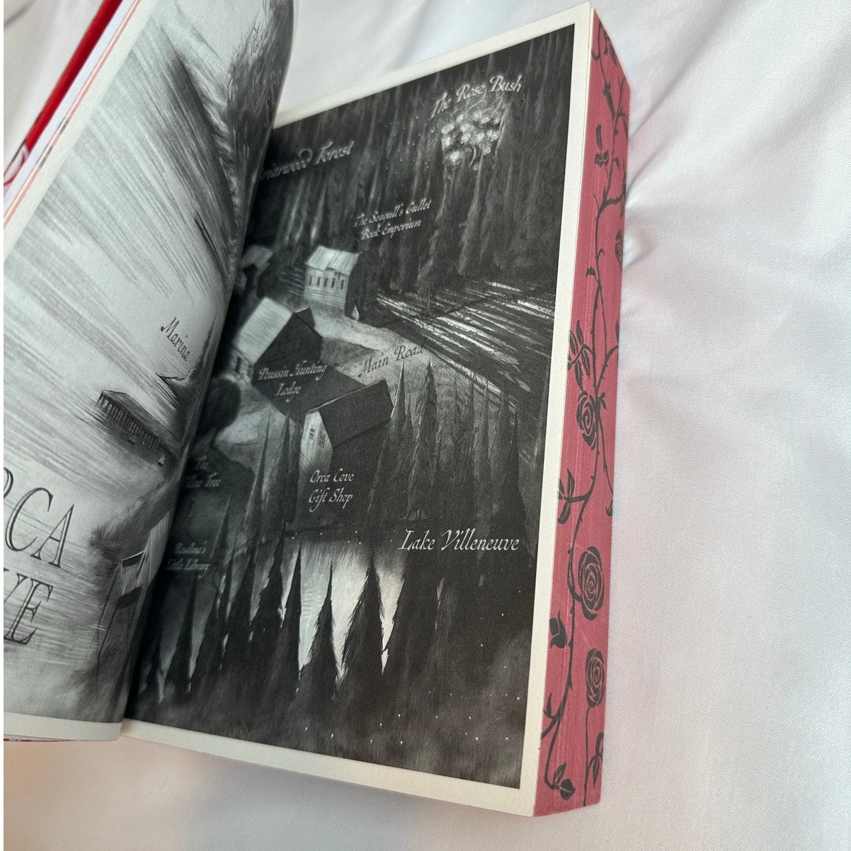 Bonded by Thorns by Elizabeth Helen | Deluxe Sprayed Edge Paperback