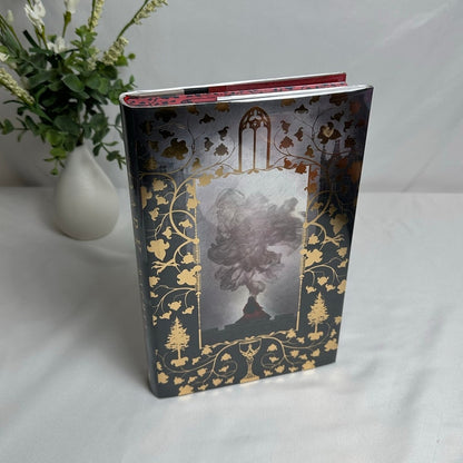 One Dark Window by Rachel Gillig | OOP B&N Exclusive Special Edition Hardcover
