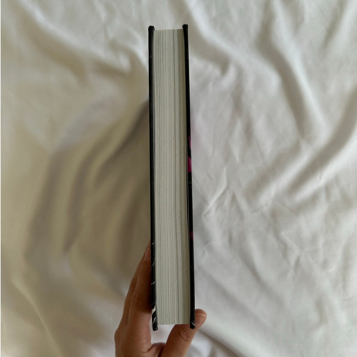 Beautiful Brute by Eden O’Neill | Indie Hardcover