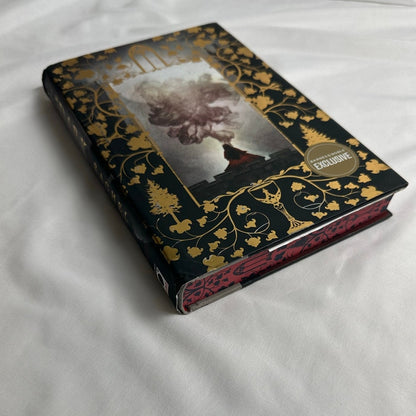 One Dark Window by Rachel Gillig | OOP B&N Exclusive Special Edition Hardcover