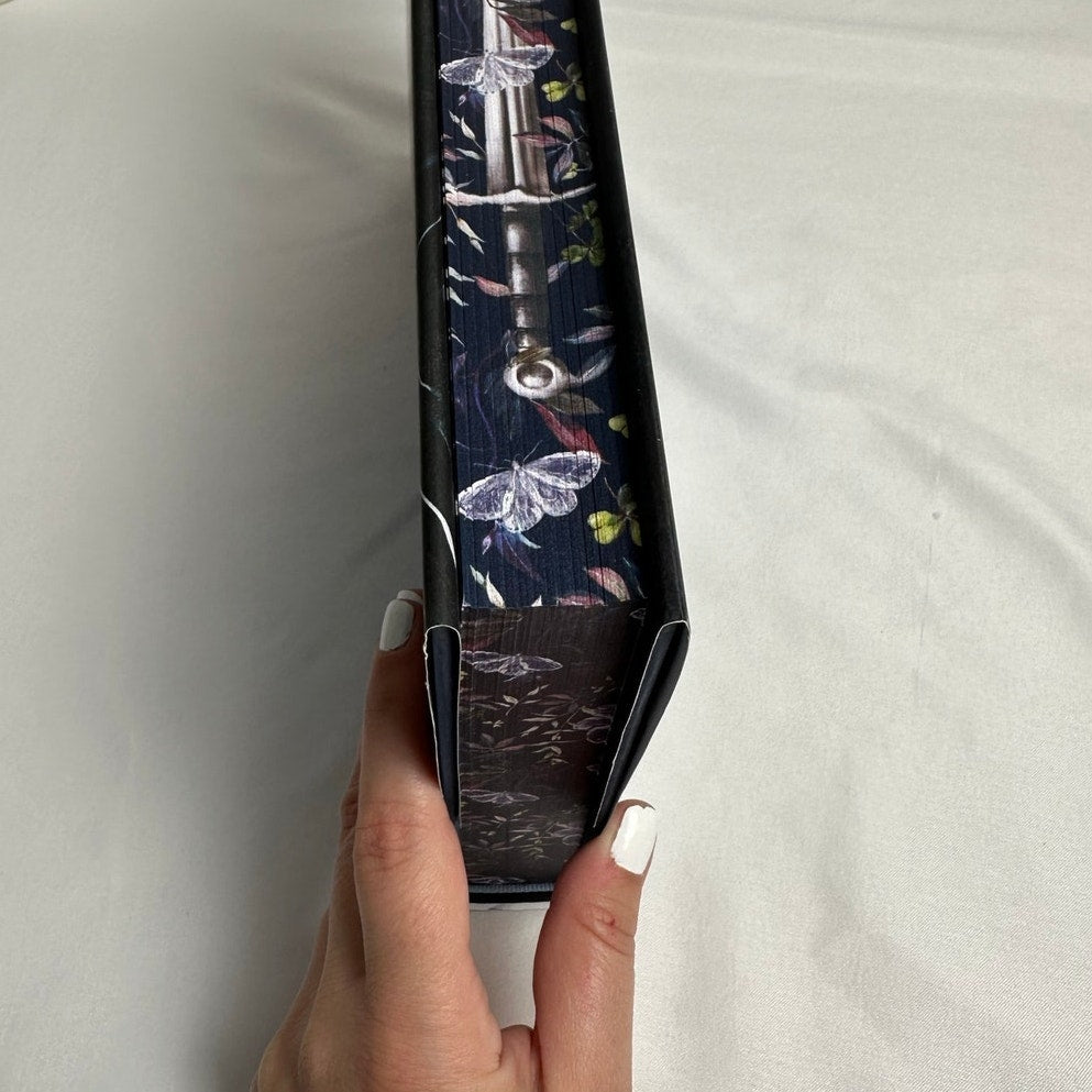 The Knight and the Moth by Rachel Gillig | B&N Exclusive Hardcover